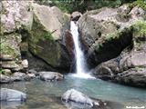 Bosque Nacional El Yunque - LUQUILLO